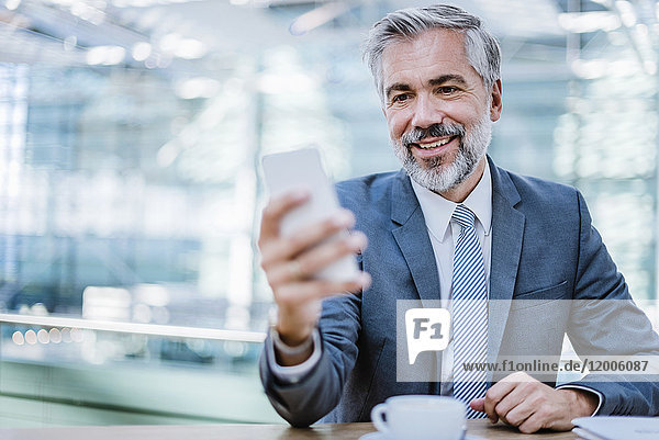 Smiling businessman in a cafe looking at cell phone