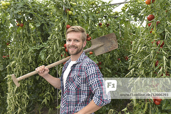 Porträt eines zufriedenen Gärtners im Gewächshaus mit Tomatenpflanzen