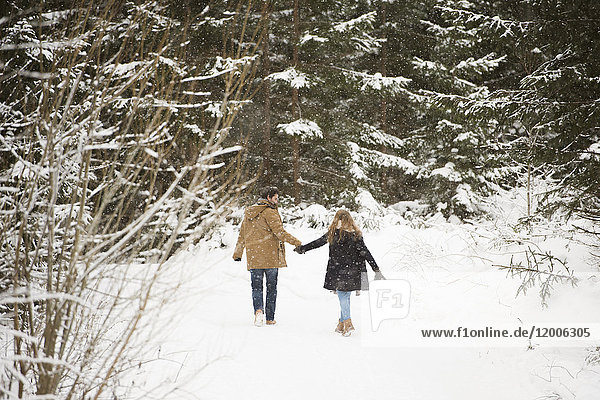 Rückansicht eines jungen Paares  das in der Winterlandschaft Hand in Hand geht.