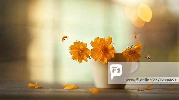 Luftige gelbe Blumen umringt von Bienen