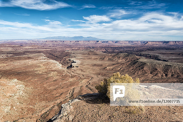 Landschaftliche Ansicht der Canyonlands in Moab  Utah  Vereinigte Staaten