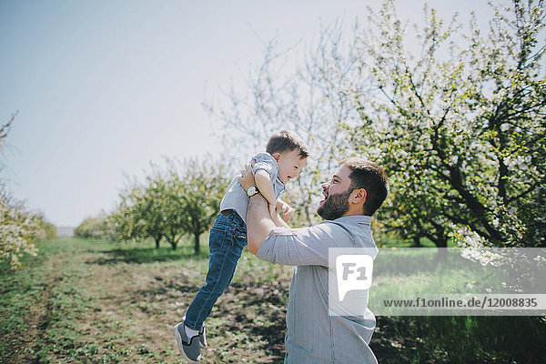 Kaukasischer Vater hebt seinen Sohn in der Nähe eines Baumes hoch