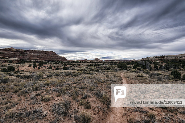 Wolken über Wüstenpfad  Moab  Utah  Vereinigte Staaten