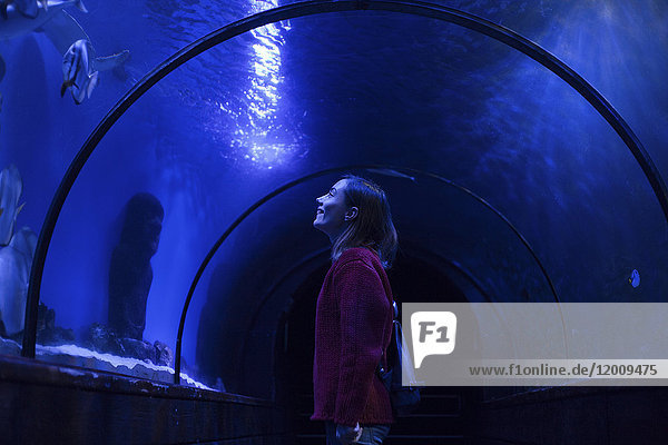 Kaukasische Frau bewundert Fische im Aquarium