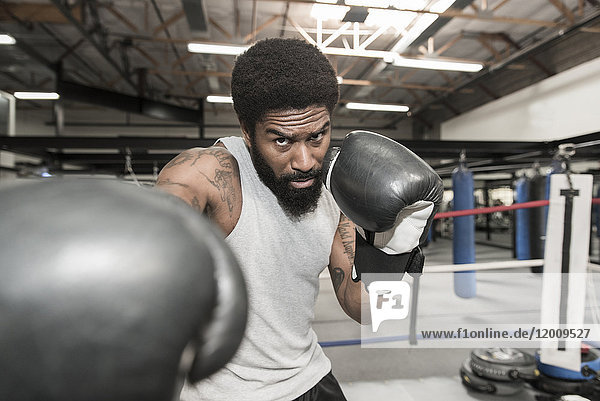 Black man posing in boxing ring