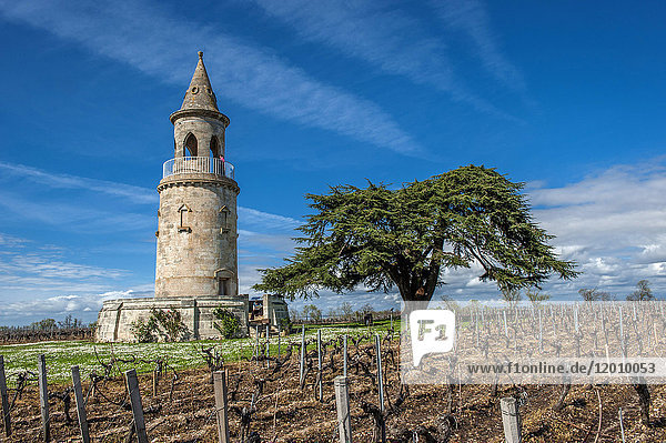 Frankreich  Gironde  Medoc  alter Leuchtturm an der Gironde-Mündung  AOC Medoc-Reben von Chateau La Tour-de-By