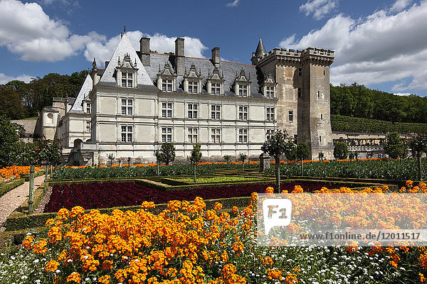 Frankreich  Mittelfrankreich  Touraine  Chateau de Villandry und sein Gemüsegarten  mit quadratischen Blumengärten. Westliche Fassade und blauer Himmel.