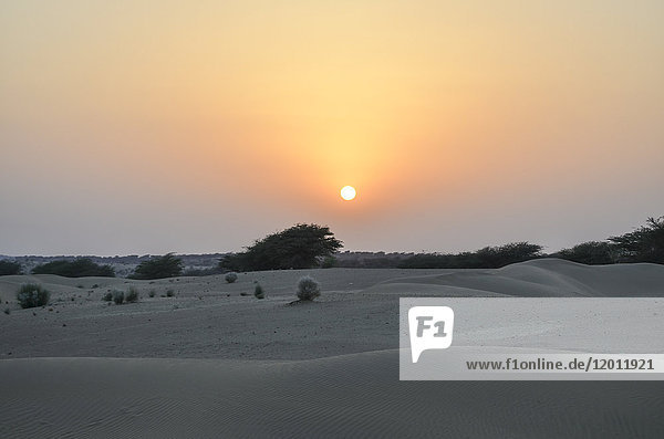 Sonnenuntergang über der Wüste,  Rajasthan,  Indien.