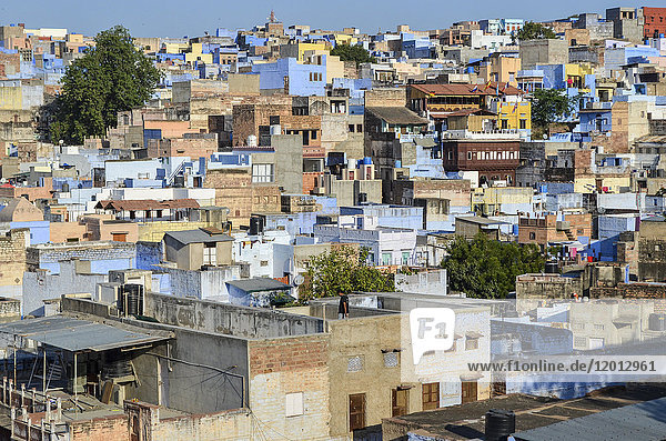 Stadtbild von Jodhpur mit traditionell indigoblau und weiß gestrichenen Häusern.