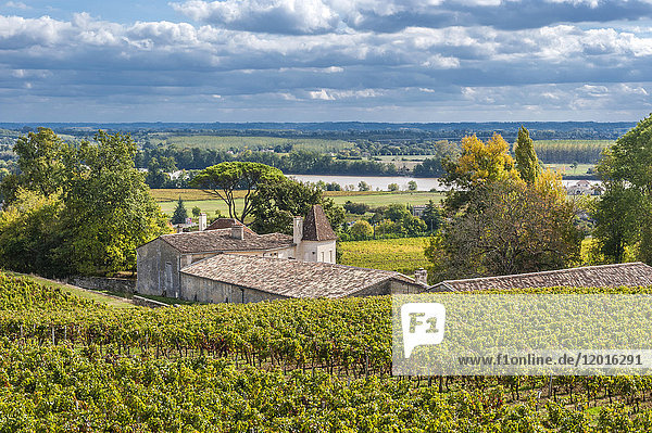 Frankreich  Gironde  Weingut der AOC Fronsac und Dordogne