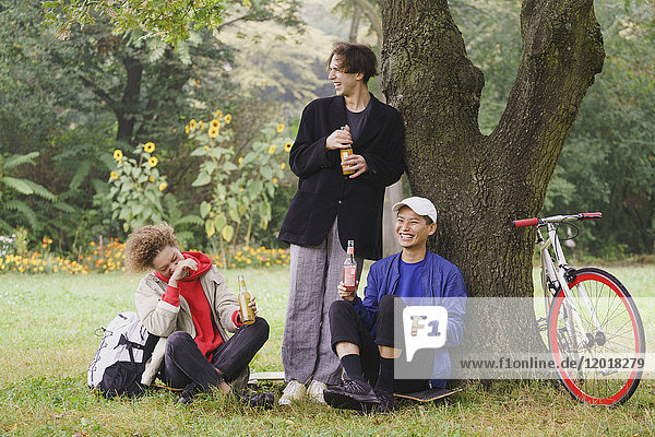Fröhliche Freunde trinken Saft  während sie sich unter einem Baum auf einem Wiesenfeld im Park entspannen.