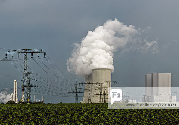 Kohlekraftwerk  Lippendorf  Sachsen  BRD