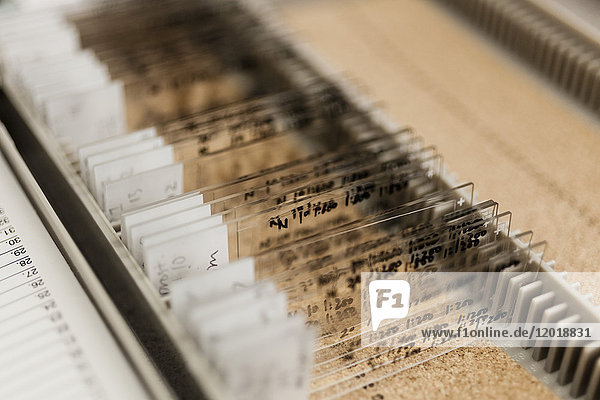 Close-up of various microscope slides in container at laboratory