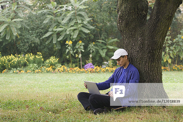 Junger Mann  der den Laptop benutzt  während er am Baum auf einer Wiese im Park sitzt.