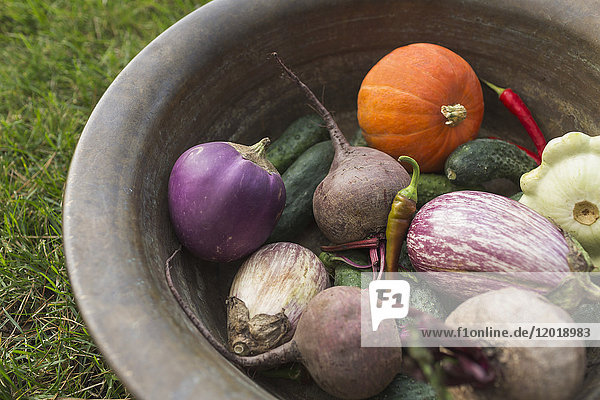 Hochwinkelansicht verschiedener Gemüsesorten im Container auf grasbewachsenem Feld