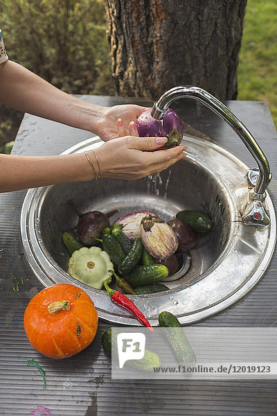 Abgeschnittenes Bild einer Frau  die frisches Gemüse an der Spüle im Hof wäscht.