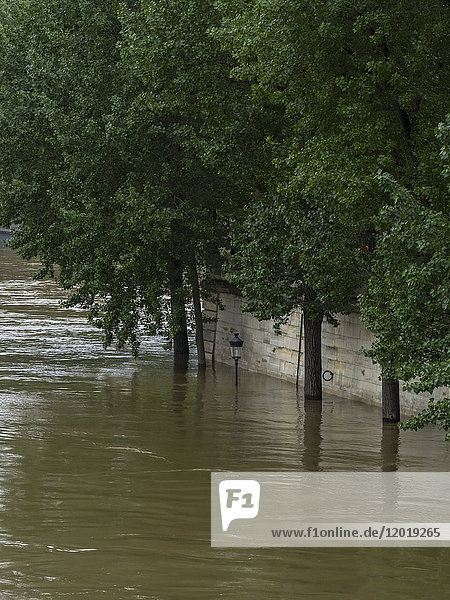 Frankreich  Ile de France  Paris  die Seine tritt über die Ufer und hat Hochwasser  Juni 2016  ile St Louis