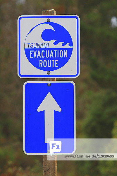 Usa,  Kalifornien,  Schild mit Tsunami-Evakuierungsroute