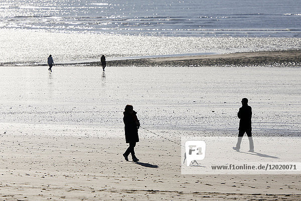 Normandy. Manche. Annoville sur Mer. People walking along the beach at high tide during the Christmas period.