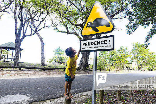 Ein kleiner Junge schaut auf ein Straßenschild über das Vorkommen von Meeresschildkröten  Saint-Louis  Marie-Galante  Guadeloupe  Frankreich