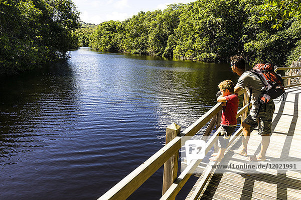 A father and his son on a wooden path on the Saint-Louis's river  Marie-Galante  Guadeloupe  France