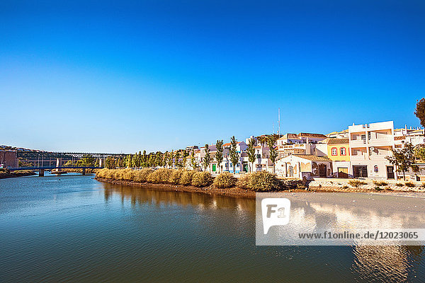 Gilao am Ufer des Flusses  Tavira  Algarve-Region  Portugal