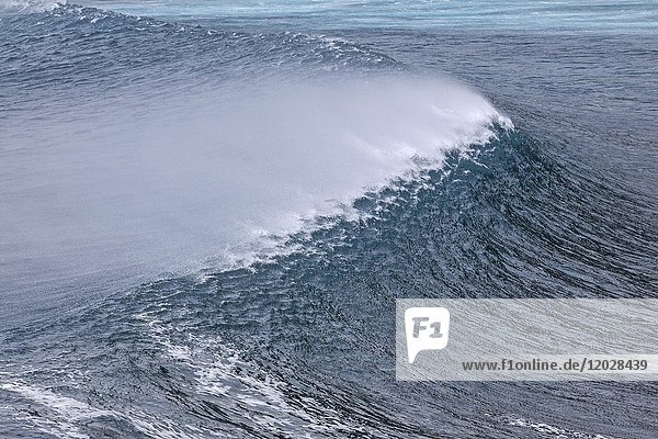 Welle  starker Wellengang  Gischt  Insel Faial  Azoren  Portugal  Europa