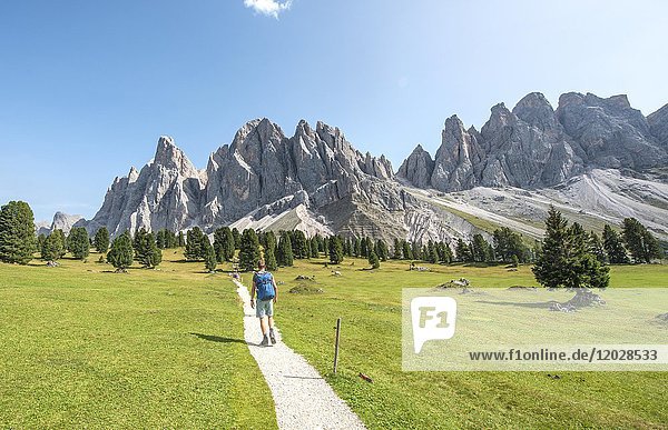 Hikers on the hiking trail near the Gschnagenhardt Alm  Villnösstal valley below the Geisler peaks  behind the Geisler group  Sass Rigais  Dolomites  South Tyrol  Italy  Europe