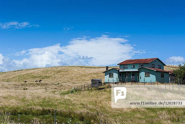 Einsames Bauernhaus in Chiloe  Chile  Südamerika