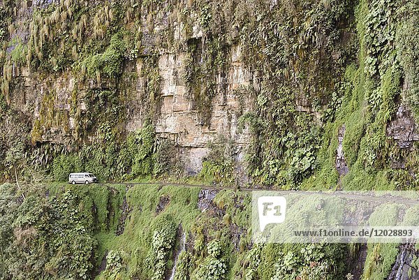 Camino de la muerte  Todesstraße  gilt als die gefährlichste Straße der Welt  Anden bei La Paz  Bolivien  Südamerika