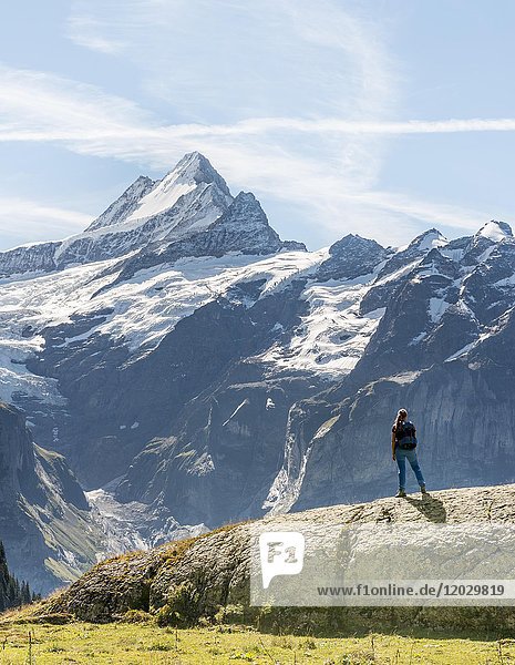 Wanderer auf einem Felsen  im Rücken schneebedeckte Eiger Nordwand  Eiger  Mönch  Jungfrau  Grosses Fiescherhorn  Grindelwald  Bern  Schweiz  Europa