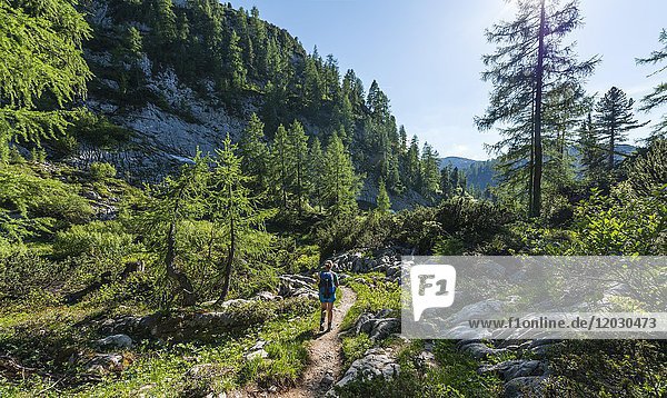 Wanderer auf Wanderweg zum Kärlingerhaus  Funtenseetauern  Nationalpark Berchtesgaden  Berchtesgadener Land  Oberbayern  Bayern  Deutschland  Europa