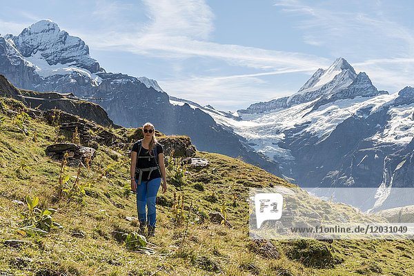Wanderer  in der hinteren schneebedeckten Nordwand des Eiger  Eiger  Mönch  Jungfrau  Grosses Fiescherhorn  Grindelwald  Bern  Schweiz  Europa