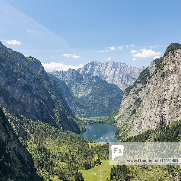 Blick auf den Obersee und den Königsee vom Röthsteig aus  im Hintergrund der Watzmann  Berchtesgaden  Oberbayern  Bayern  Deutschland  Europa