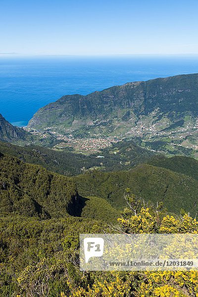 Blick auf den Atlantischen Ozean vom Berg Bica de Cana  Hochebene Paul da Serra  Insel Madeira  Portugal  Europa