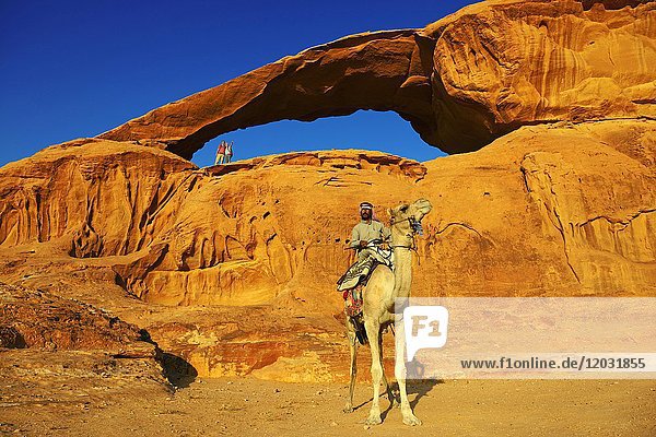 Beduine reitet auf seinem Kamel beim Felsenbogen Al Kharza  Wadi Rum  Jordanien  Asien