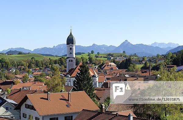 Blick auf Nesselwang vor den Alpen  Ostallgäu  Allgäu  Schwaben  Bayern  Deutschland  Europa