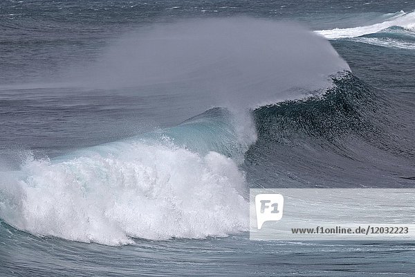 Brechende Wellen  starker Wellengang  Gischt  Insel Faial  Azoren  Portugal  Europa