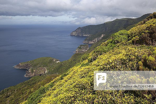 Blick vom Miradouro sobre Ponta Delgada das Flores auf die Nordostküste  Insel Flores  Azoren  Portugal  Europa