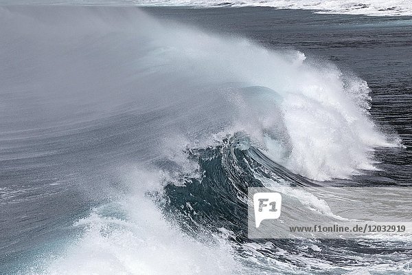 Brechende Wellen  starker Wellengang  Gischt  Baia da Ribeira das Cabras  Insel Faial  Azoren  Portugal  Europa