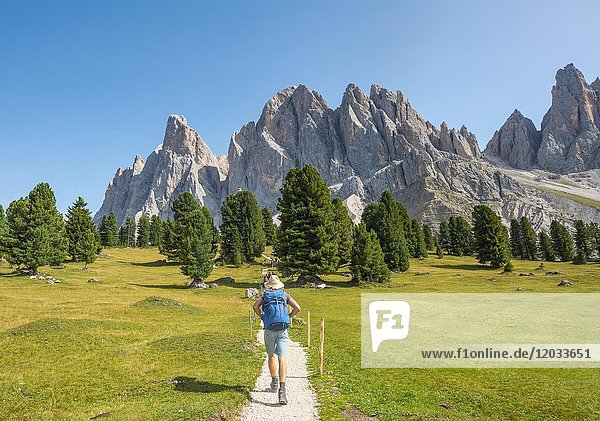 Hikers on the hiking trail near the Gschnagenhardt Alm  Villnösstal valley below the Geisler peaks  behind the Geisler group  Sass Rigais  Dolomites  South Tyrol  Italy  Europe