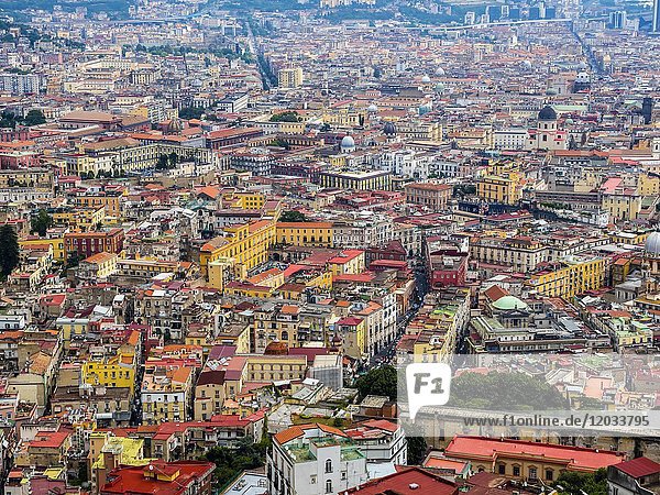 Blick vom Belvedere San Martino auf die Altstadt  Neapel  Kampanien  Italien  Europa