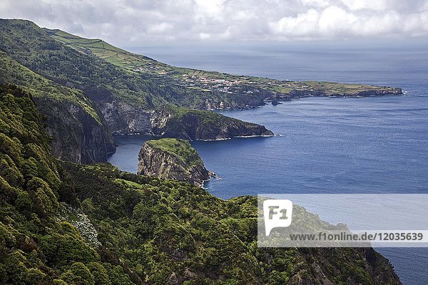 Blick auf die Nordostküste  hinter Ponta Delgada  Insel Flores  Azoren  Portugal  Europa