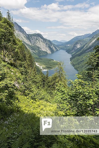 Blick über den Königsee von der Saugasse  Wanderweg zum Kärlingerhaus  Nationalpark Berchtesgaden  Berchtesgadener Land  Oberbayern  Bayern  Deutschland  Europa
