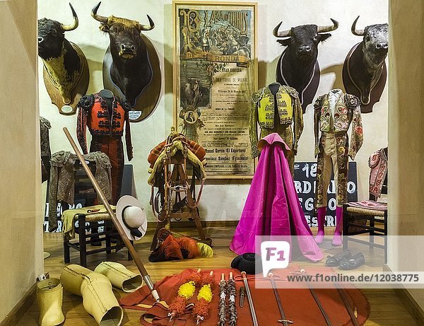 Schaukasten berühmter Stiere und Austellungstücke bedeutender Stierkämper  Museum Museo Taurino de Ronda  Stierkampfarena  Ronda  Provinz Málaga  Andalusien  Spanien  Europa