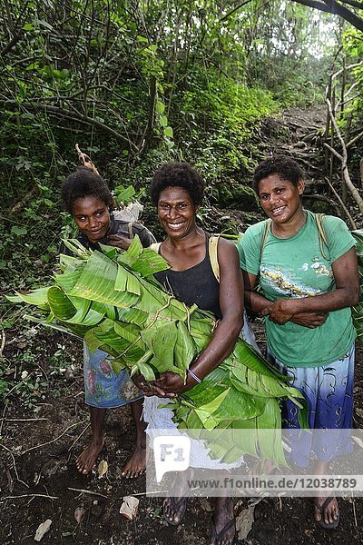 Einheimische Frauen mit gesammelten Bananenblättern  Tanna Island  Vanuatu  Südsee  Ozeanien