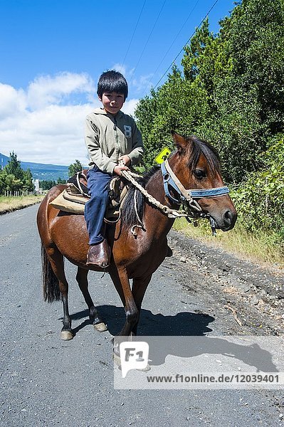 Young boy riding on a horse  Pucon  Chile  South America