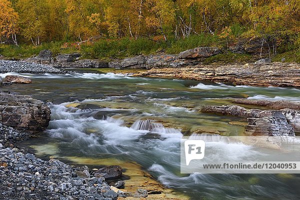 Herbstlandschaft am Fluss Abiskojakka  Abisko-Nationalpark  Schweden  Europa