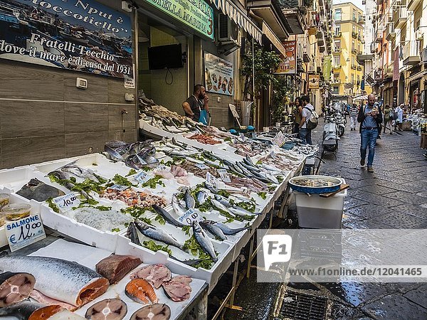 Fischgeschäfte in der Altstadt  Neapel  Kampanien  Italien  Europa