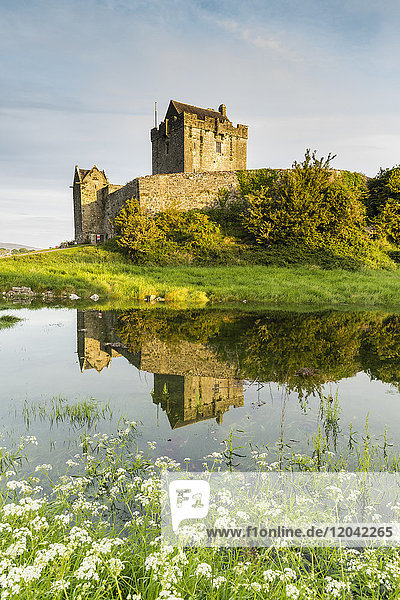 Dunguaire Castle  Grafschaft Galway  Provinz Connacht  Republik Irland  Europa